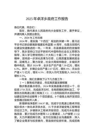 2025年卓洋乡政府工作报告