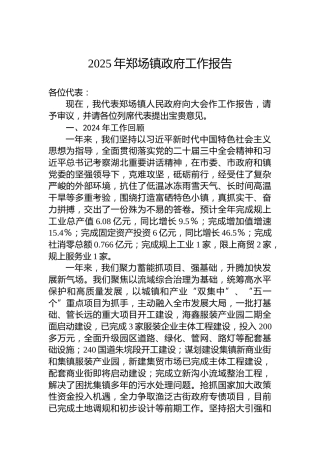 2025年郑场镇政府工作报告