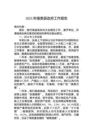 2025年镇赉县政府工作报告