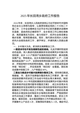 2025年长田湾乡政府工作报告
