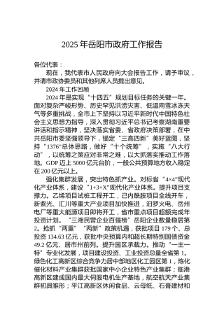 2025年岳阳市政府工作报告