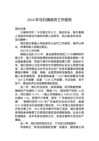 2024年乌石镇政府工作报告