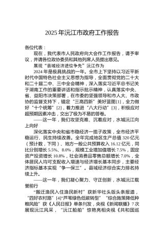 2025年沅江市政府工作报告