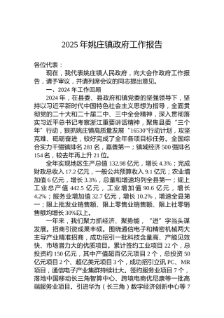 2025年姚庄镇政府工作报告