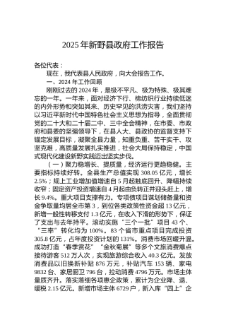 2025年新野县政府工作报告