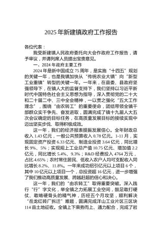 2025年新建镇政府工作报告