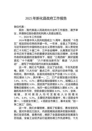 2025年新化县政府工作报告