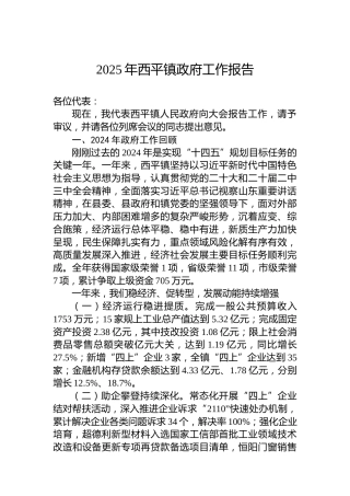 2025年西平镇政府工作报告