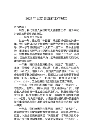 2025年武功县政府工作报告