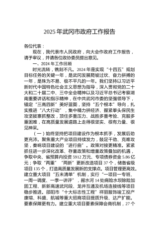 2025年武冈市政府工作报告