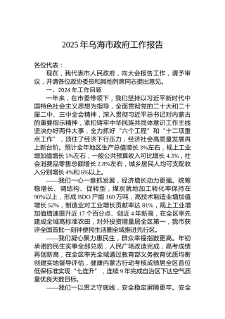 2025年乌海市政府工作报告