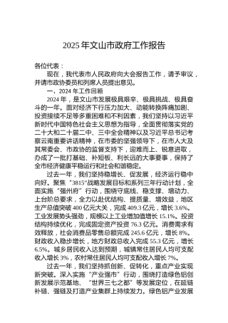 2025年文山市政府工作报告