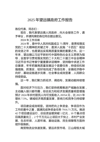 2025年望远镇政府工作报告