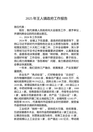 2025年王人镇政府工作报告