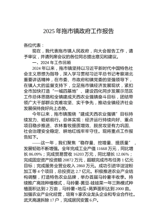 2025年拖市镇政府工作报告