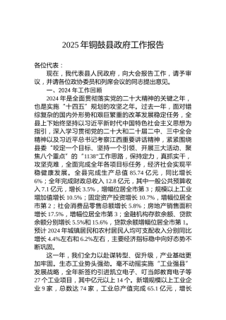 2025年铜鼓县政府工作报告