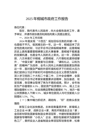 2025年桐城市政府工作报告