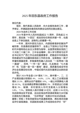 2025年田东县政府工作报告