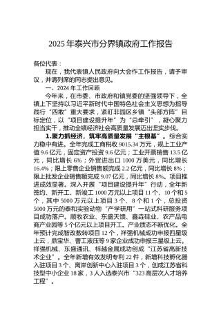 2025年泰兴市分界镇政府工作报告
