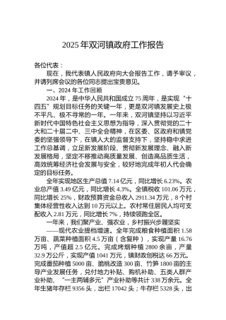 2025年双河镇政府工作报告