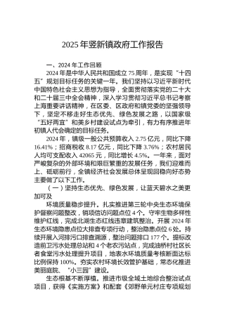 2025年竖新镇政府工作报告