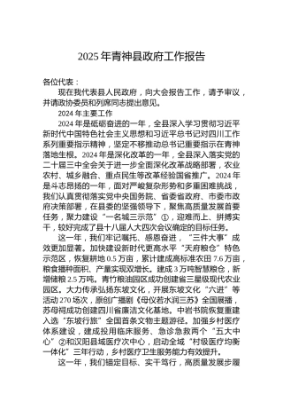 2025年青神县政府工作报告