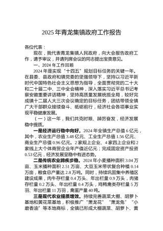 2025年青龙集镇政府工作报告