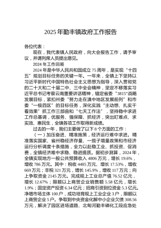 2025年勤丰镇政府工作报告