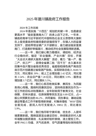2025年潜川镇政府工作报告