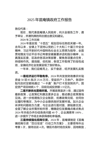 2025年苗庵镇政府工作报告