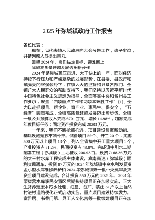 2025年弥城镇政府工作报告