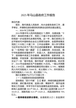 2025年马山县政府工作报告