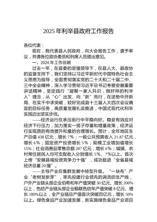 2025年利辛县政府工作报告