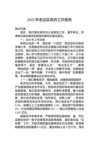 2025年老边区政府工作报告