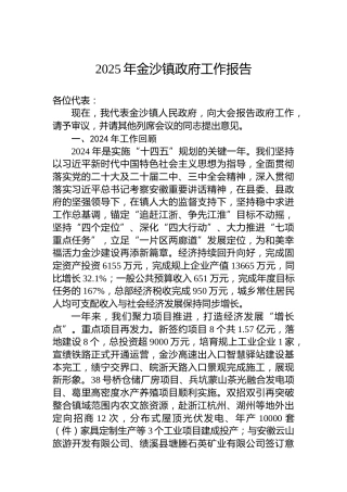 2025年金沙镇政府工作报告