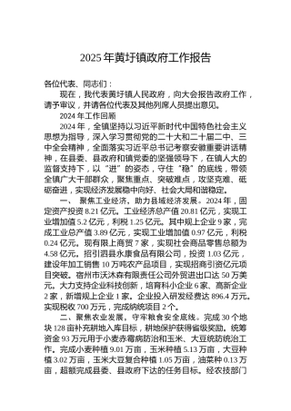 2025年黄圩镇政府工作报告