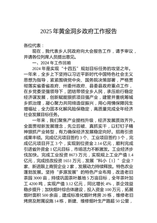 2025年黄金洞乡政府工作报告