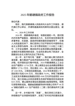 2025年鹤塘镇政府工作报告