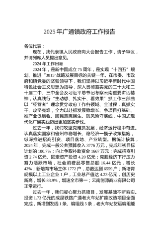 2025年广通镇政府工作报告