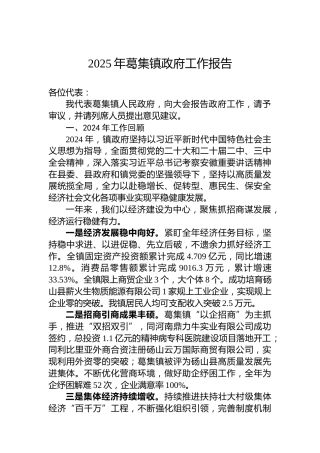 2025年葛集镇政府工作报告