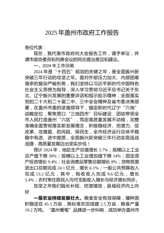 2025年盖州市政府工作报告