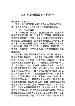 2025年凤都镇政府工作报告