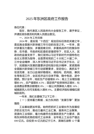 2025年东洲区政府工作报告