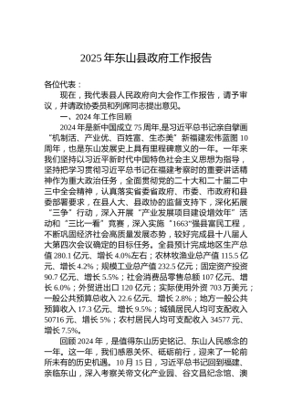 2025年东山县政府工作报告