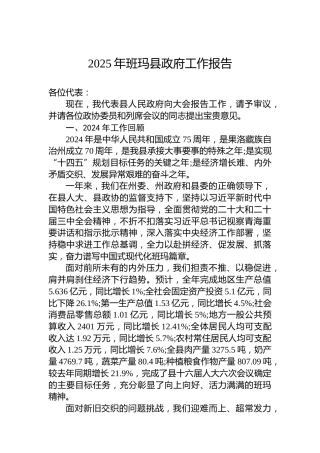 2025年班玛县政府工作报告