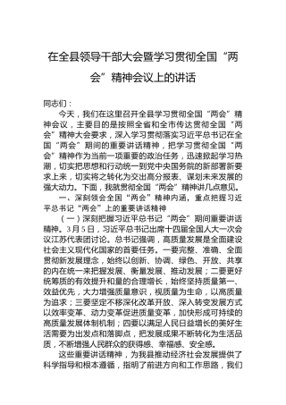 在全县领导干部大会暨学习贯彻2023年全国“两会”精神会议上的讲话