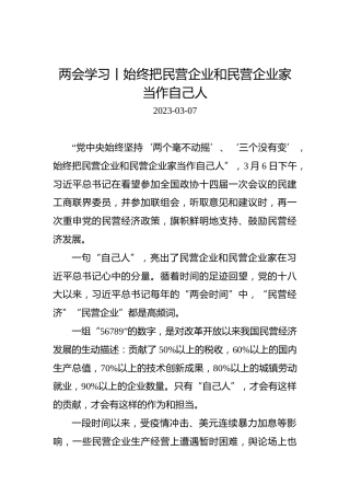 两会学习丨始终把民营企业和民营企业家当作自己人