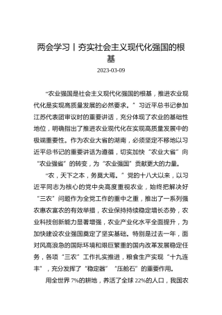 两会学习丨夯实社会主义现代化强国的根基
