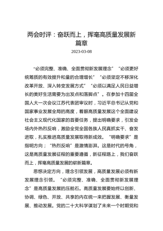 两会时评：奋跃而上，挥毫高质量发展新篇章