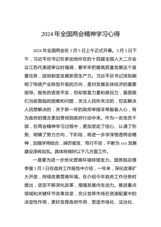 2024年全国两会精神学习心得